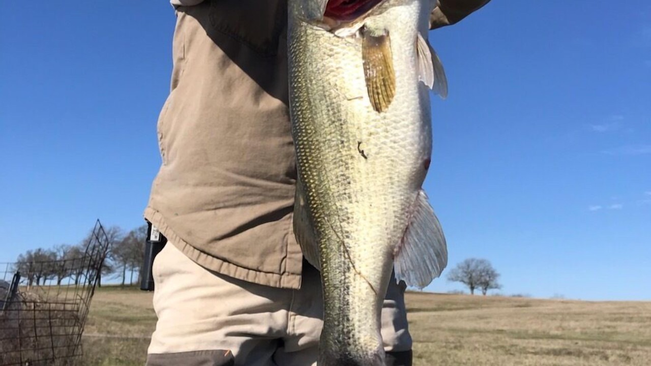 Photo of Outdoor in Garvin County