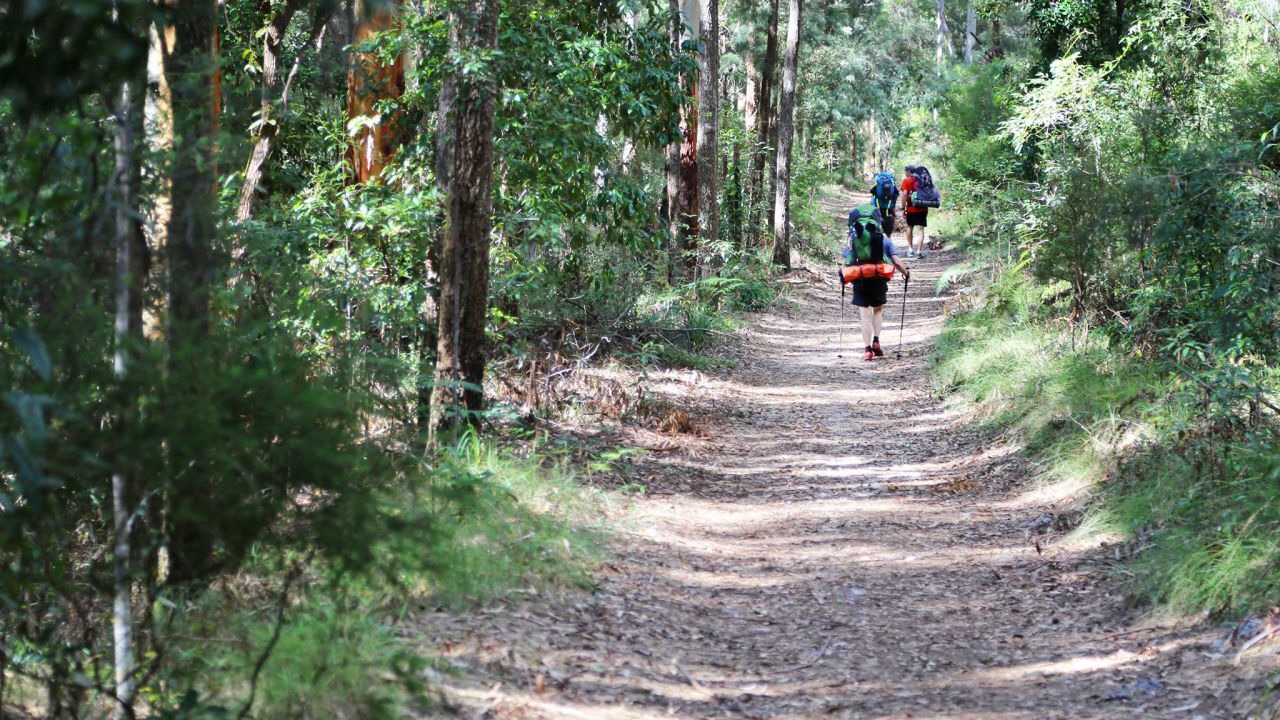 Photo of Outdoor in Cootharaba