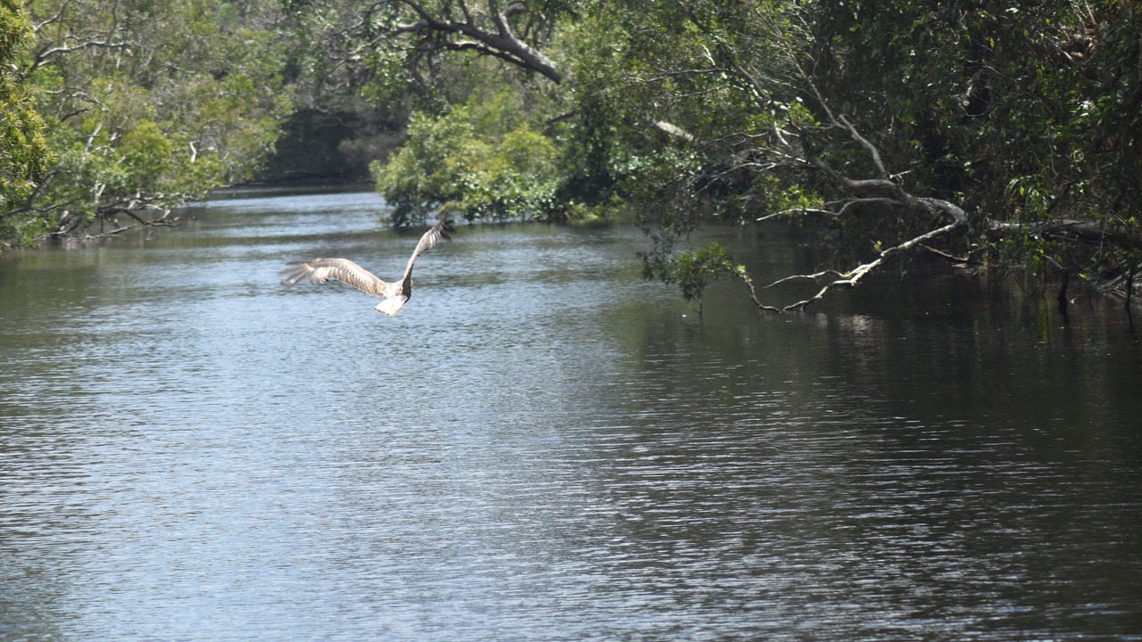 Photo of Outdoor in Cootharaba