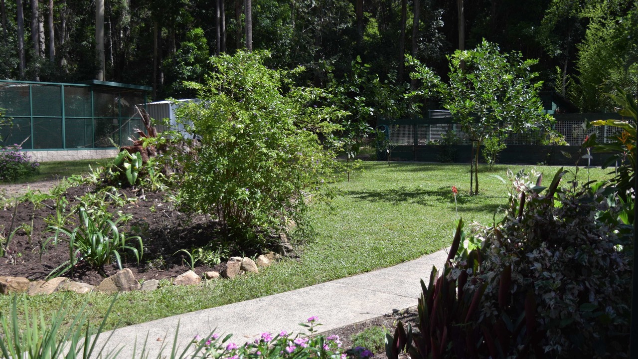 Photo of Outdoor in Cootharaba