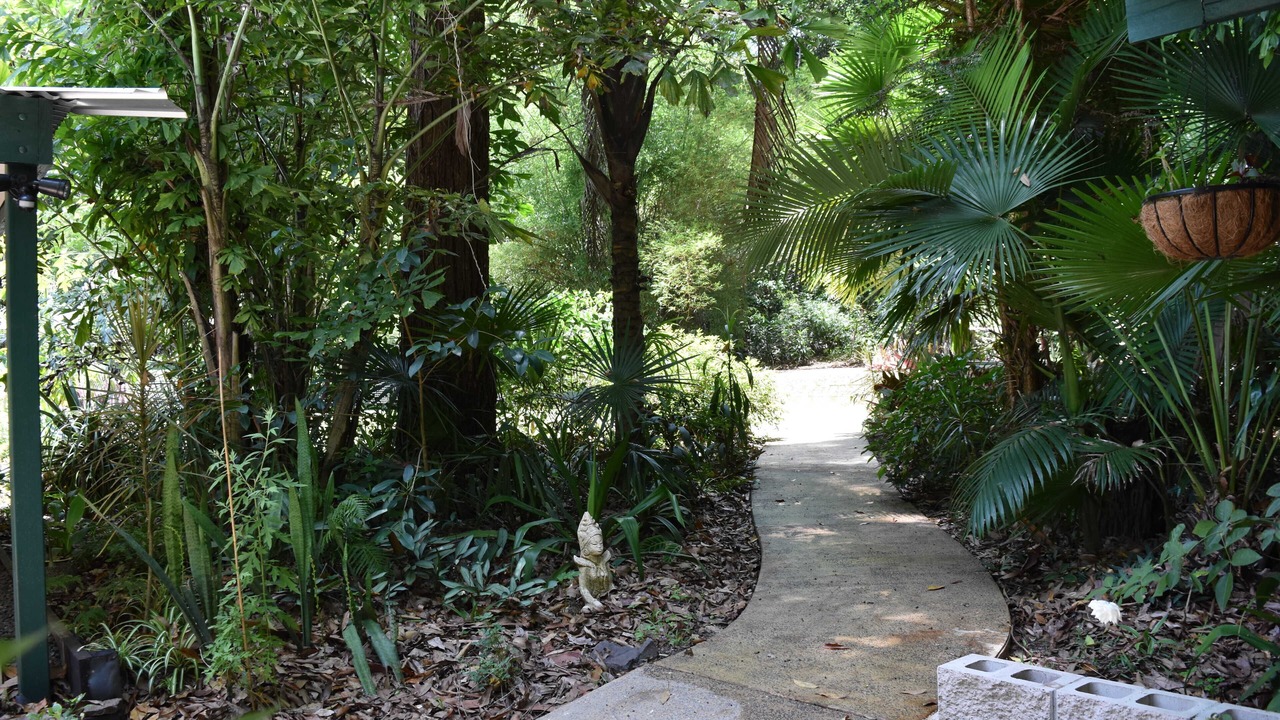 Photo of Outdoor in Cootharaba