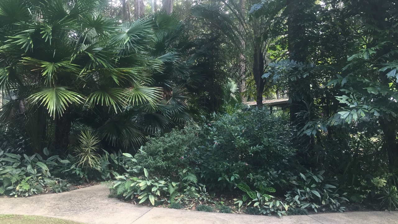 Photo of Outdoor in Cootharaba