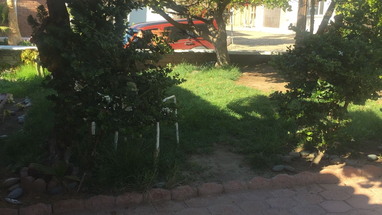 Photo of Outdoor in La Joya