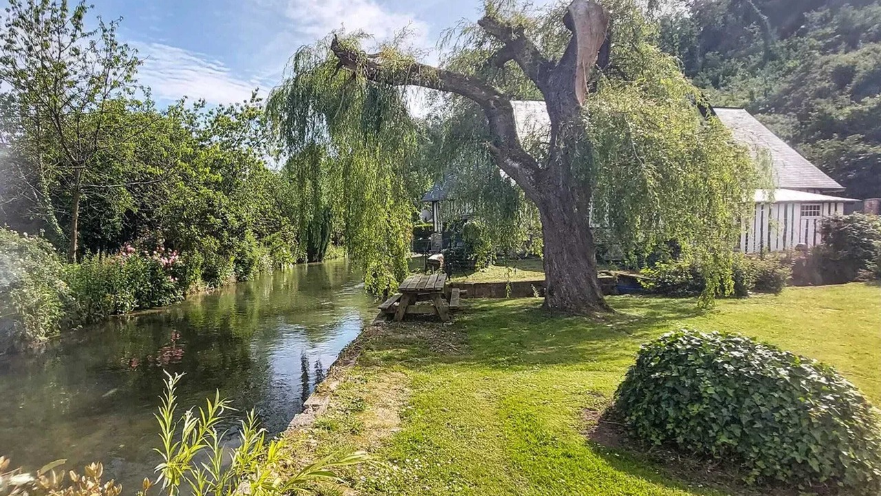 Photo of Outdoor in Vittefleur