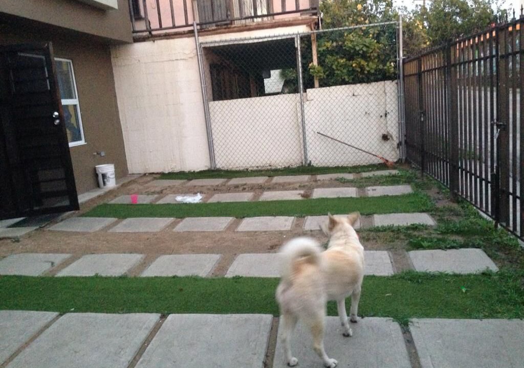 Photo of Outdoor in Centro Carretera