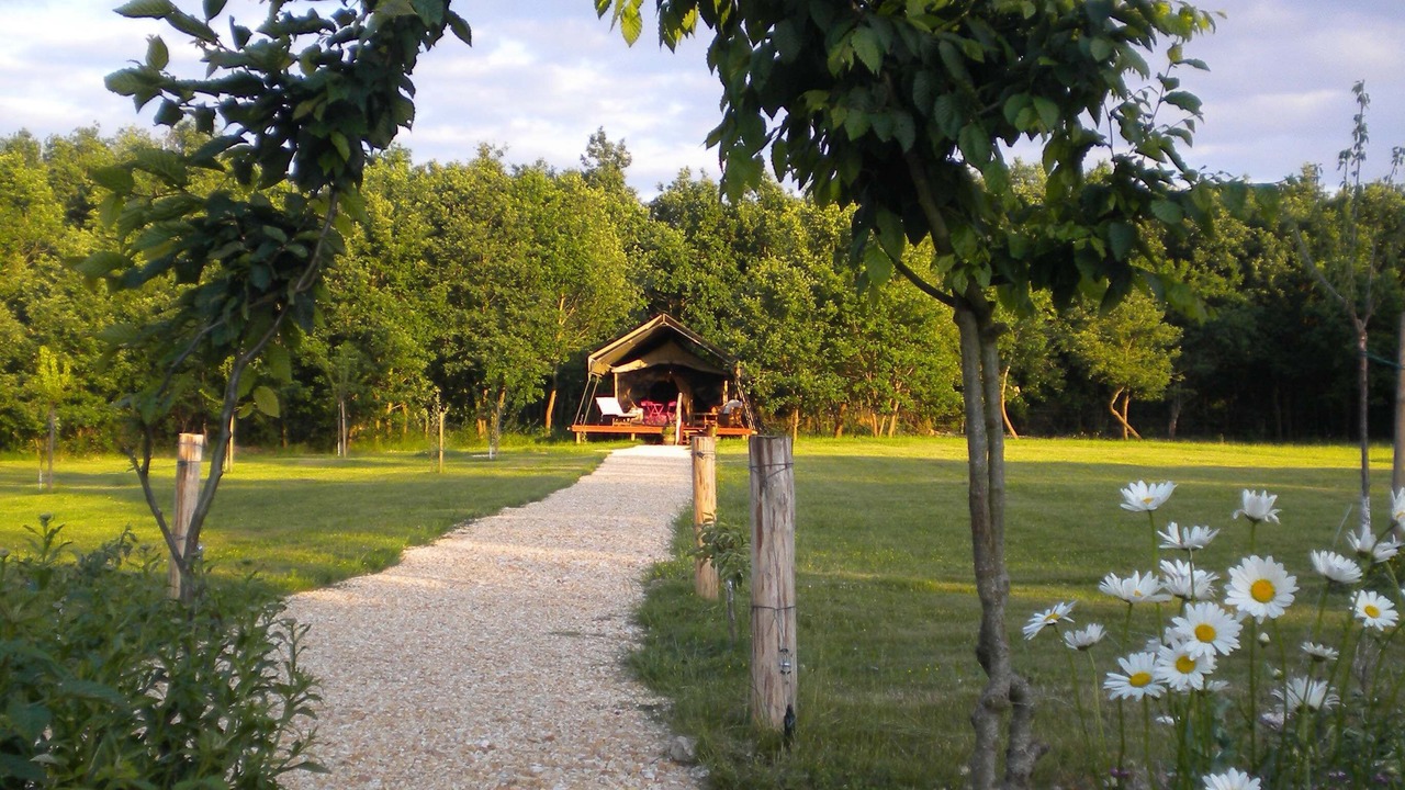 Photo of Outdoor in Chenehutte-Treves-Cunault