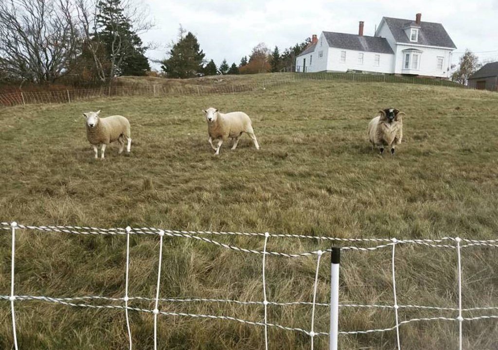 Photo of Outdoor in Machiasport