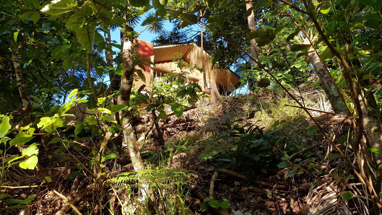 Photo of Outdoor in Tutukaka