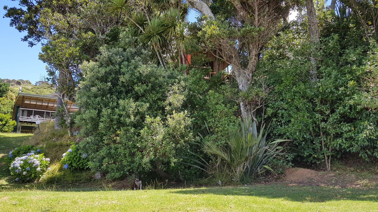 Photo of Outdoor in Tutukaka