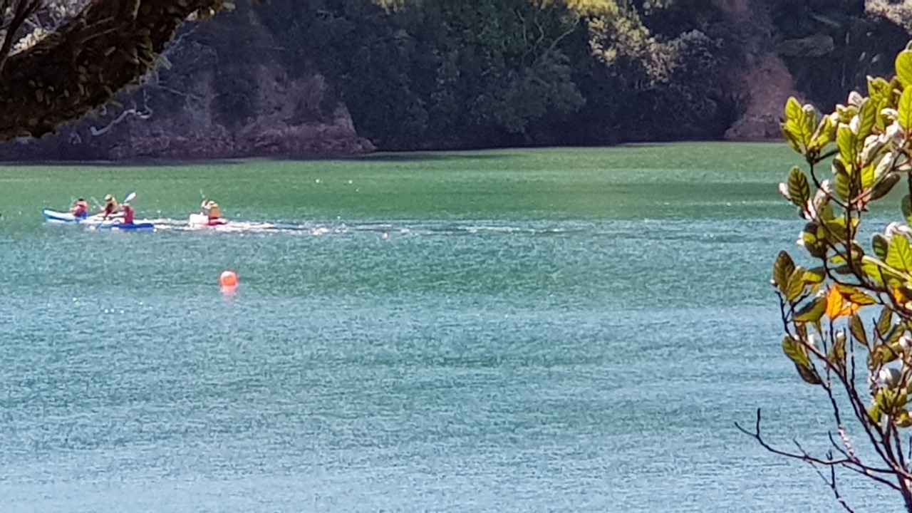 Photo of Others in Tutukaka