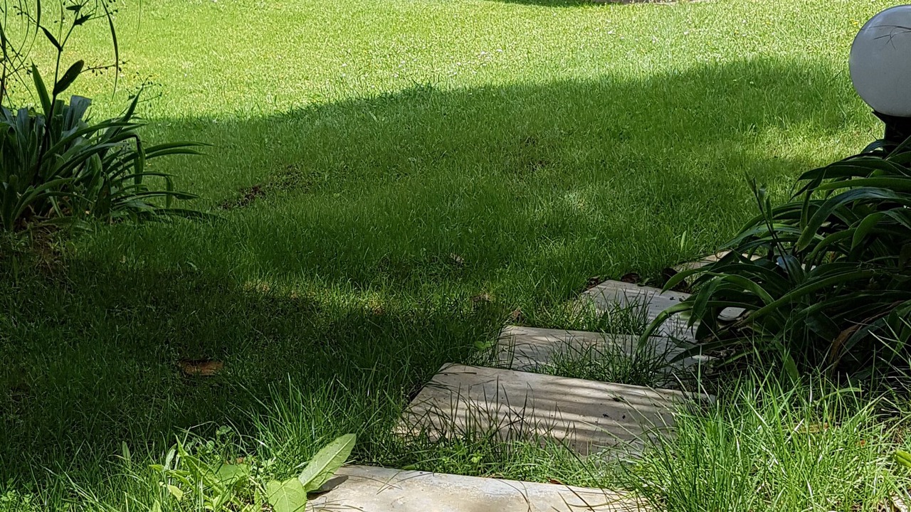 Photo of Outdoor in Tutukaka