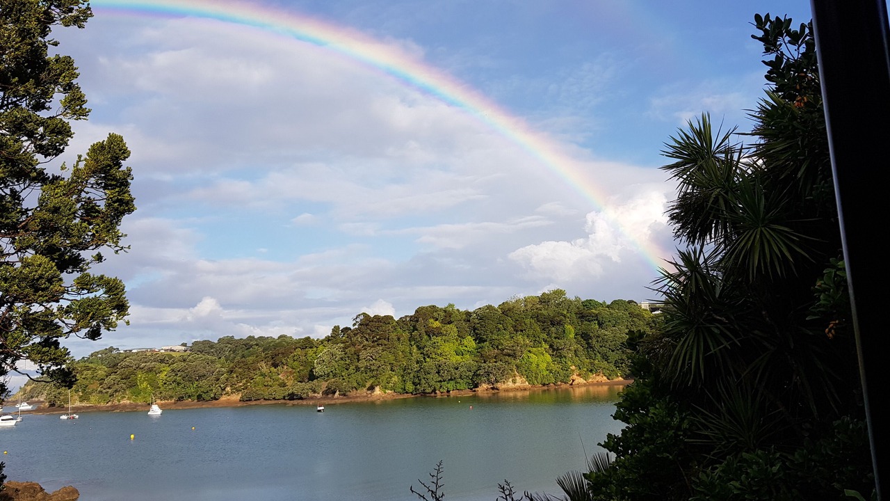 Photo of Others in Tutukaka