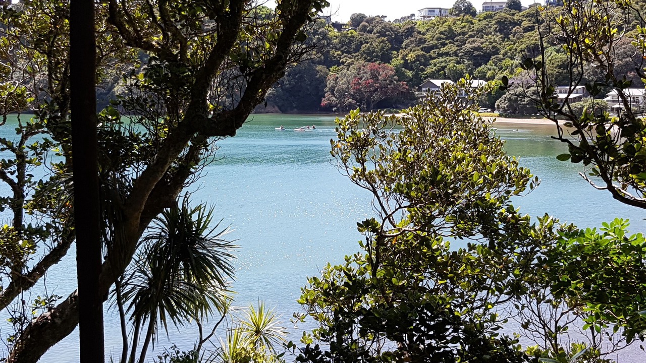 Photo of Others in Tutukaka