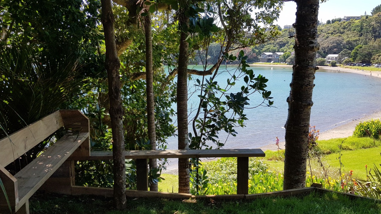 Photo of Outdoor in Tutukaka