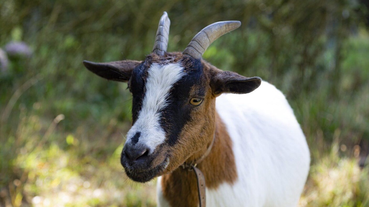 Photo of Outdoor in Lannilis