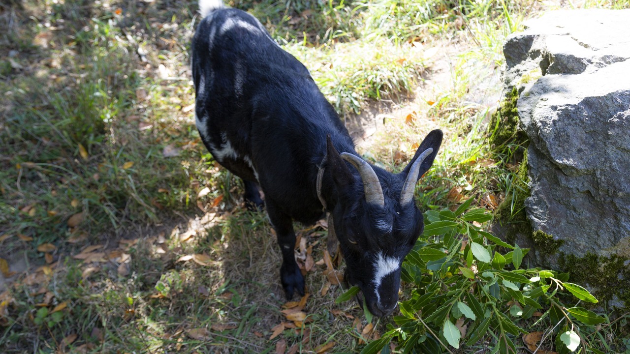 Photo of Outdoor in Lannilis