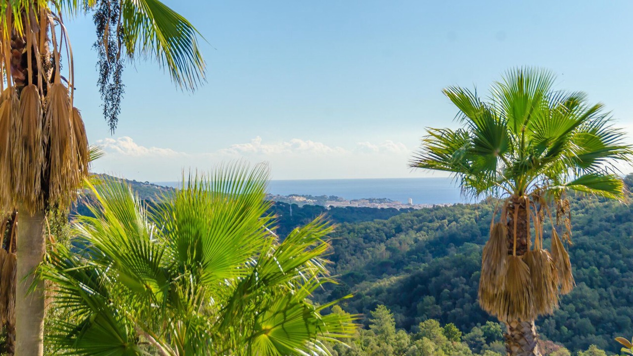 Photo of Others in Lloret de Mar