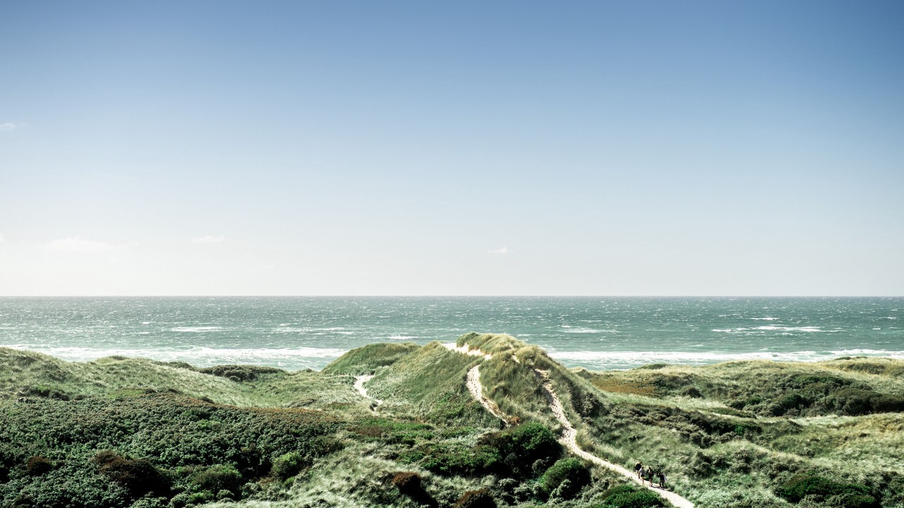 Photo of Others in Blokhus