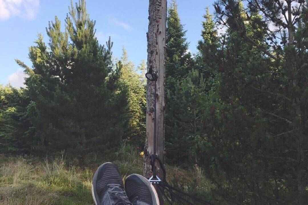 Photo of Others in Blokhus