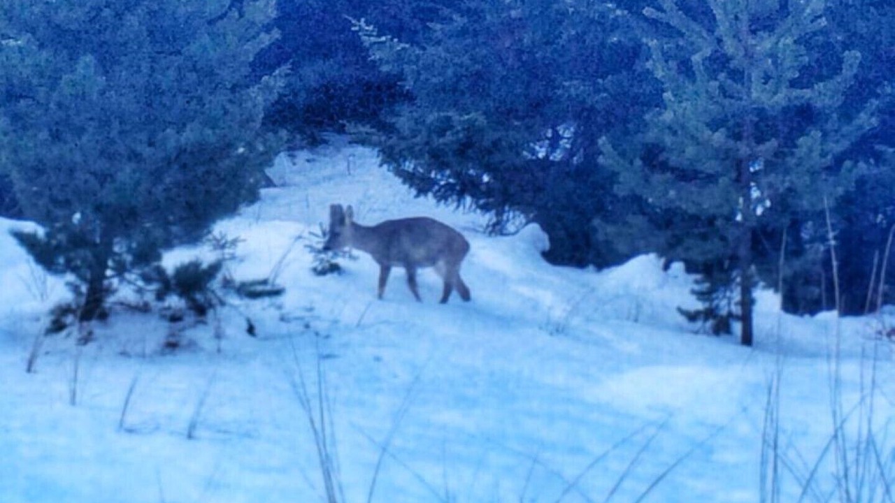 Photo of Others in Blokhus