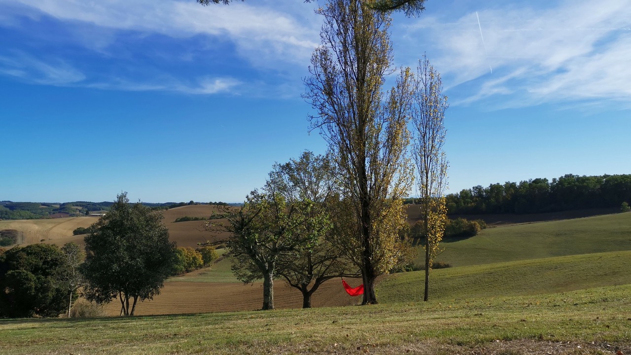 Photo of Outdoor in Ordan-Larroque