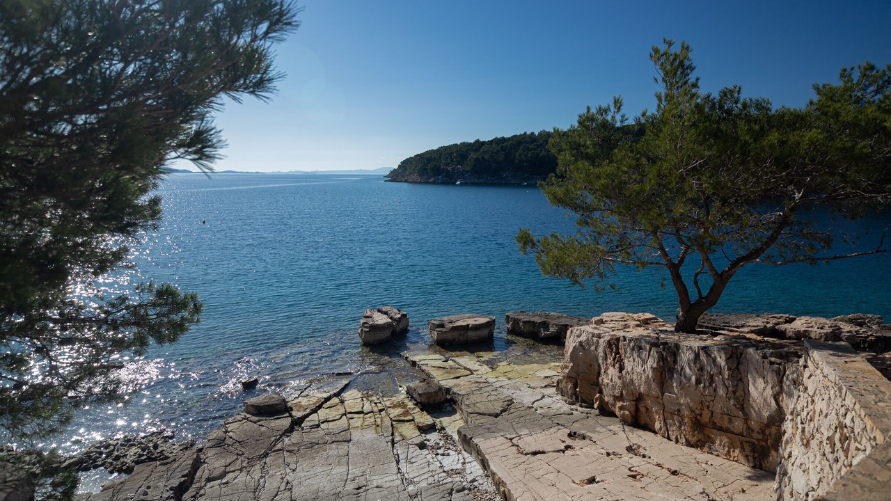 Photo of Others in Cove Osibova (Milna)