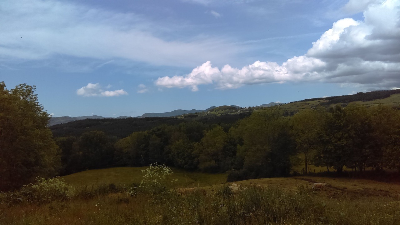 Photo of Outdoor in Lantriac