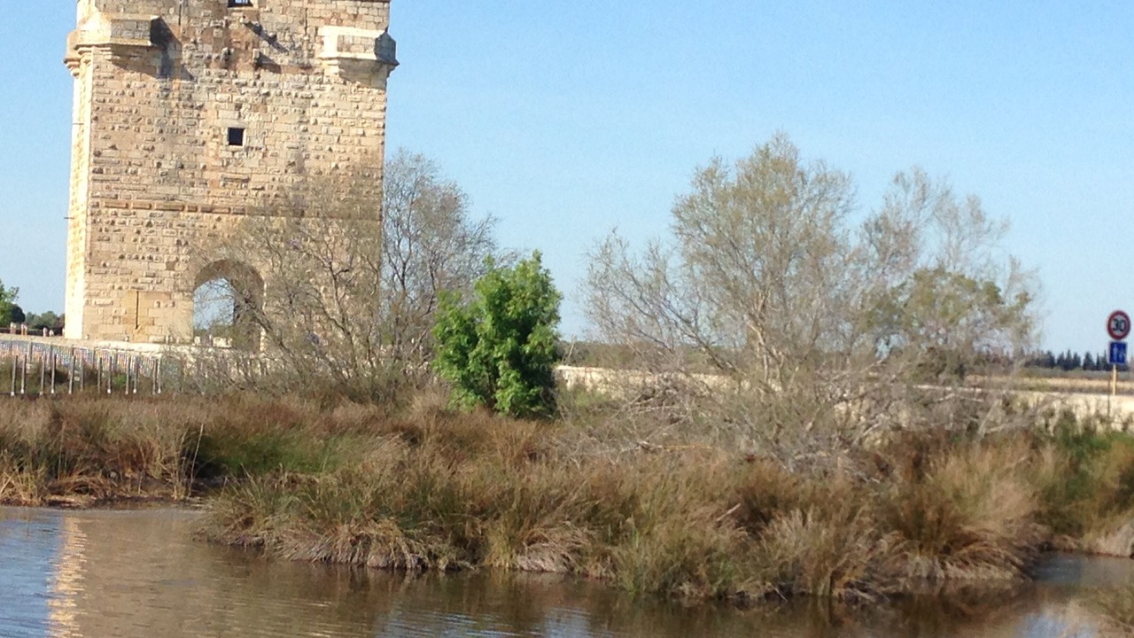 Photo of Others in Saint-Laurent-d'Aigouze