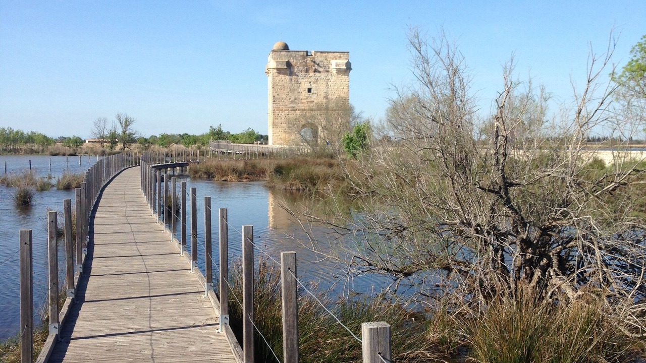 Photo of Outdoor in Saint-Laurent-d'Aigouze