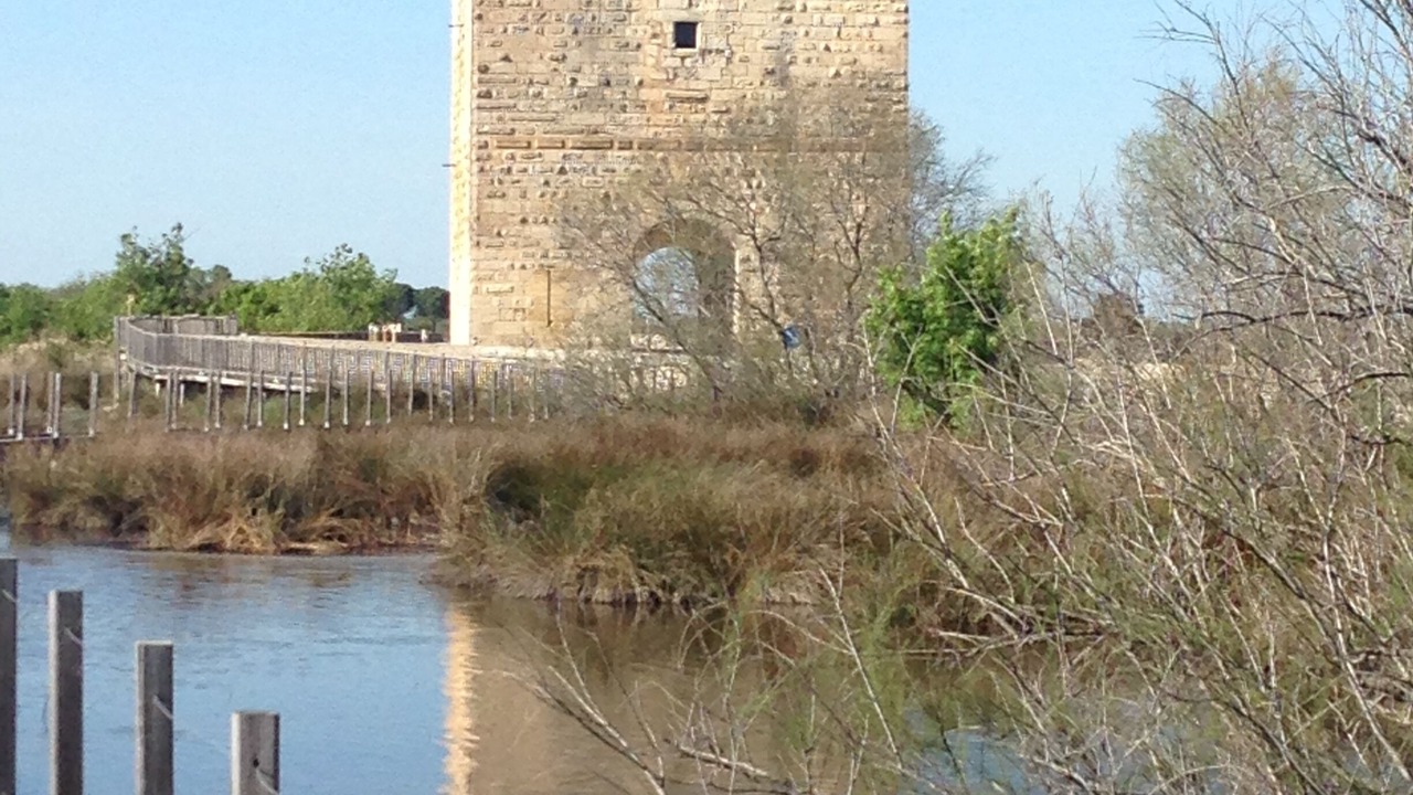 Photo of Outdoor in Saint-Laurent-d'Aigouze