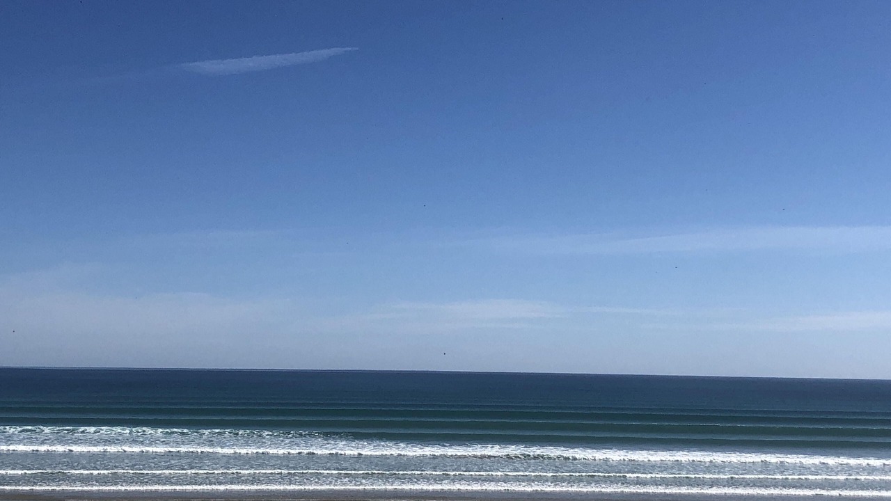 Photo of Others in Sandy Point