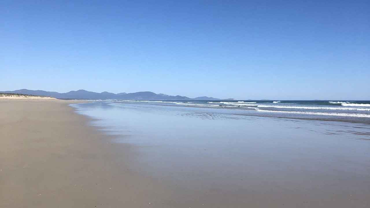 Photo of Others in Sandy Point