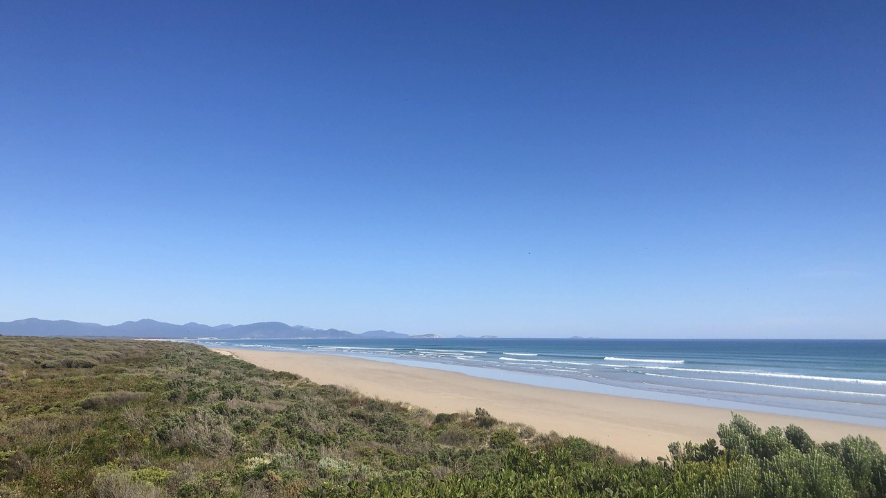 Photo of Others in Sandy Point