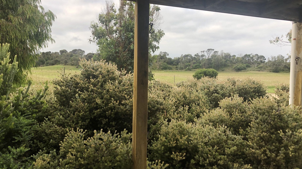 Photo of Patio Balcony in Sandy Point
