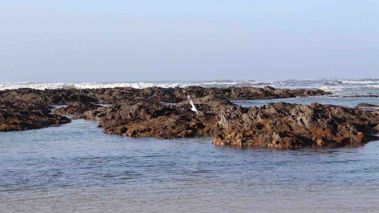 Photo of Others in Bretignolles-sur-Mer