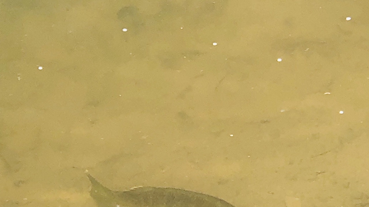 Photo of Others in Walton