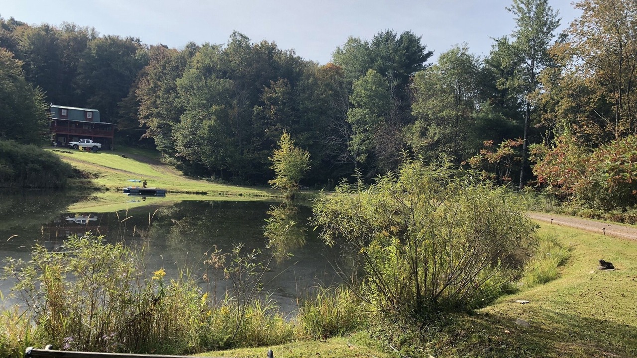 Photo of Outdoor in Walton