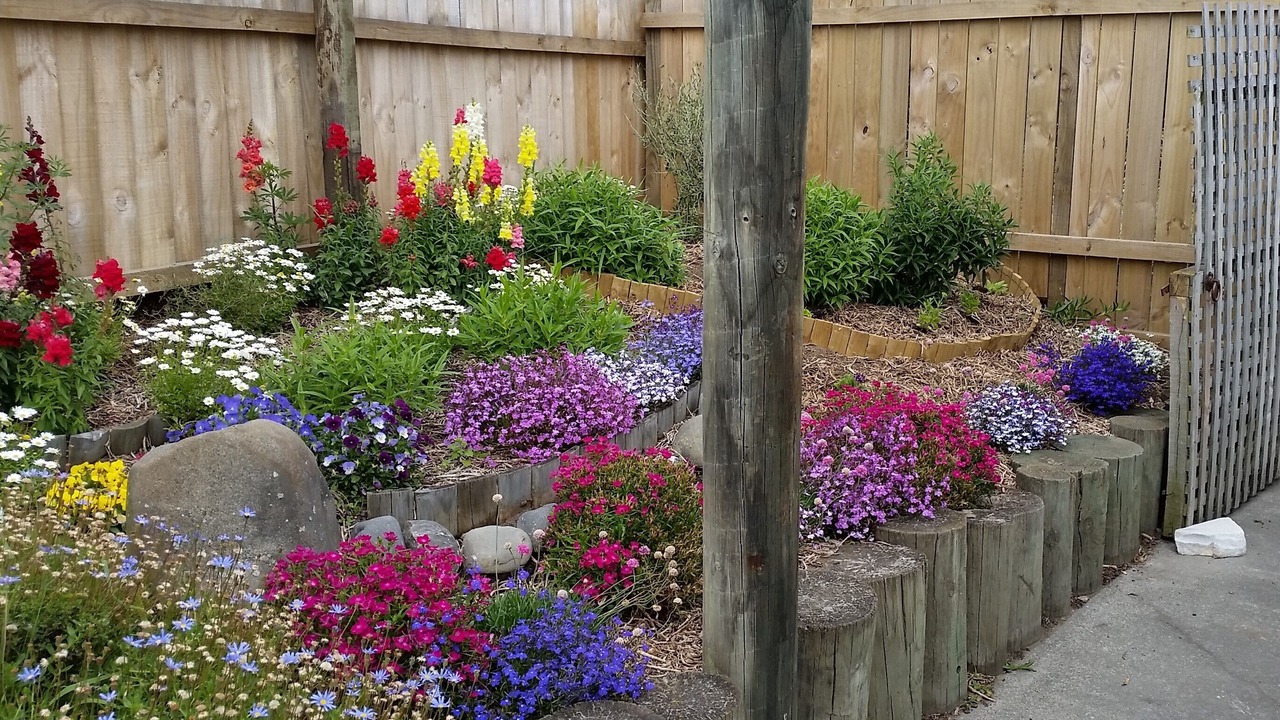 Photo of Outdoor in Waikuku Beach