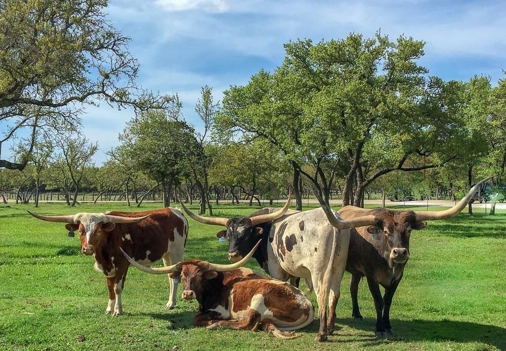 Photo of Others in Austin