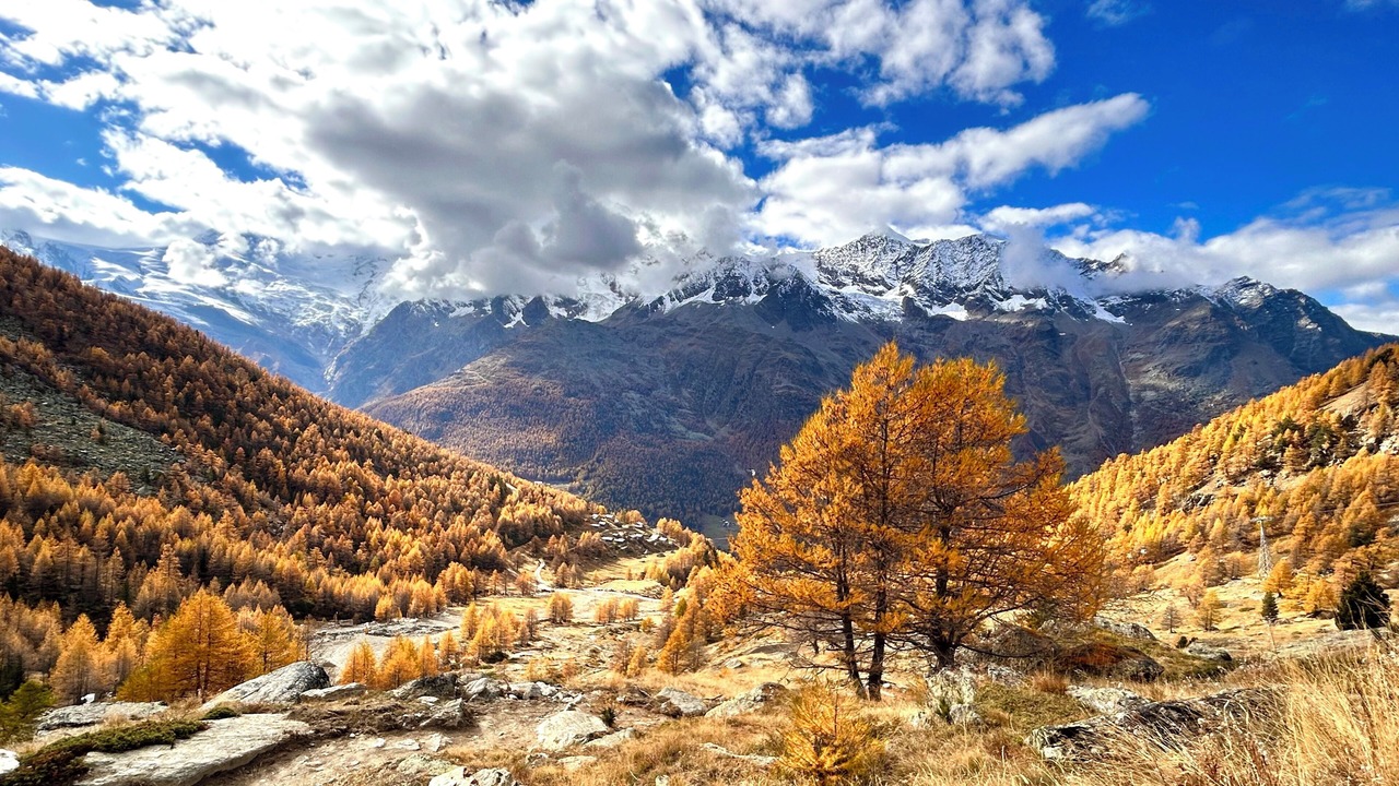 Photo of Others in Saas Grund
