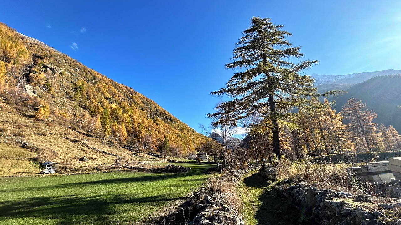 Photo of Others in Saas Grund