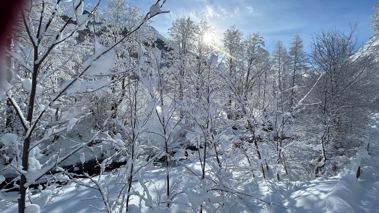 Photo of Others in Saas Grund