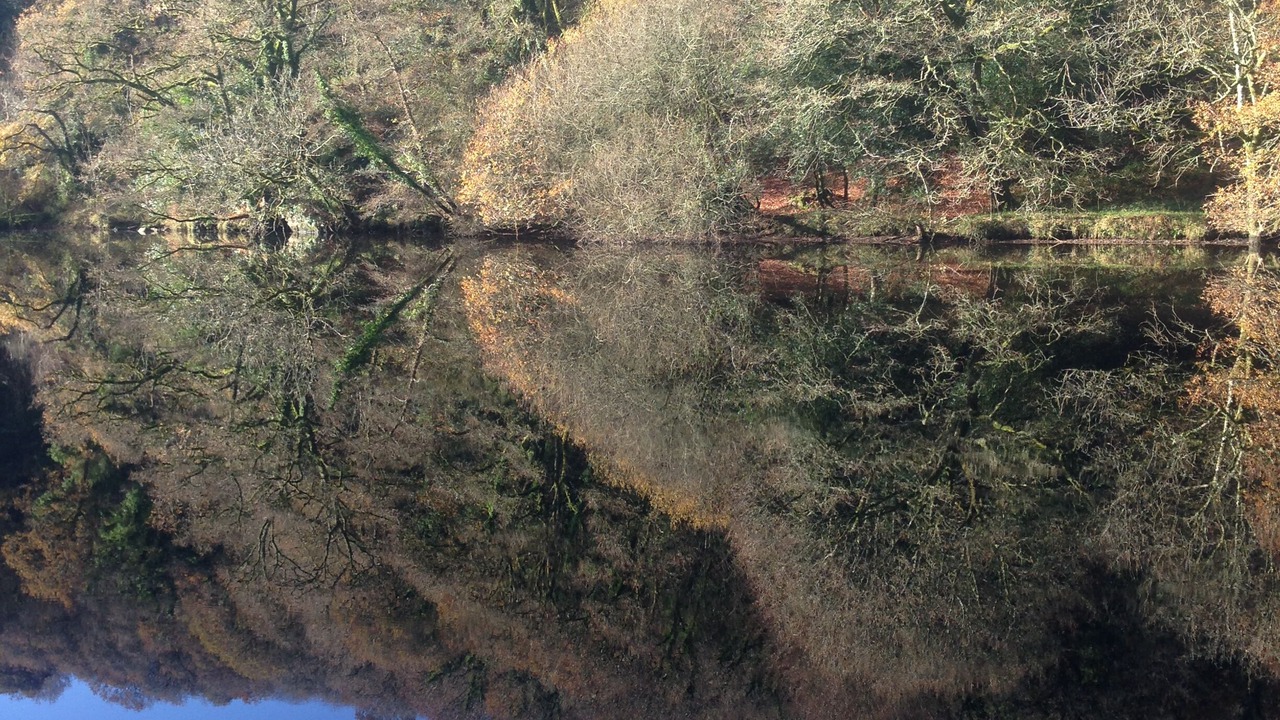 Photo of Others in Quistinic