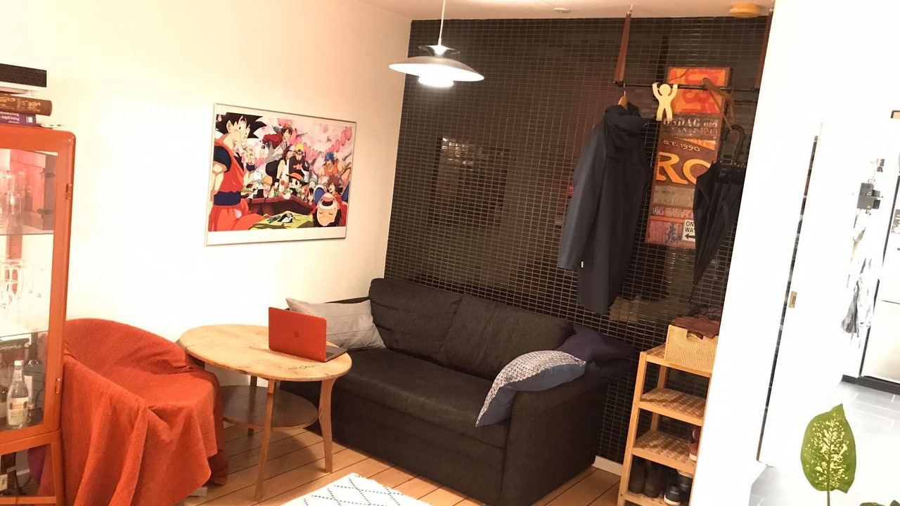 Photo of Livingroom in Soborg