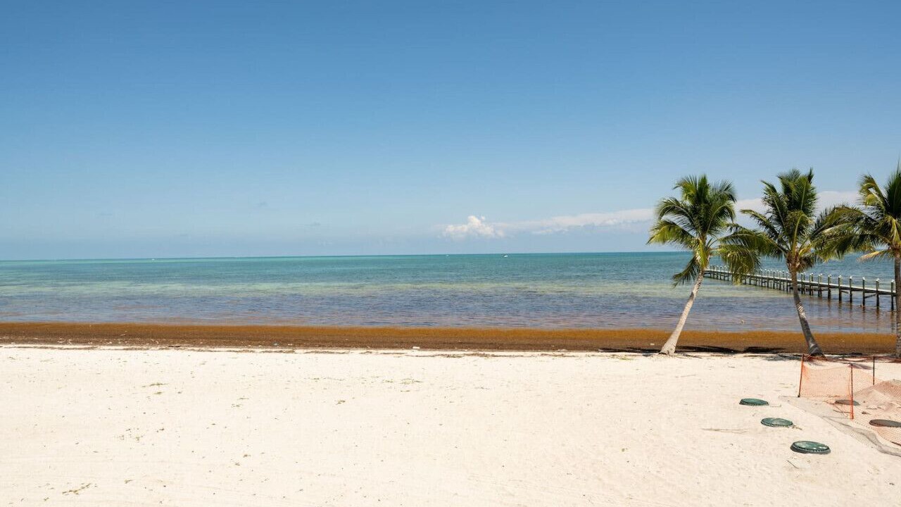 Photo of Others in Sugarloaf Key