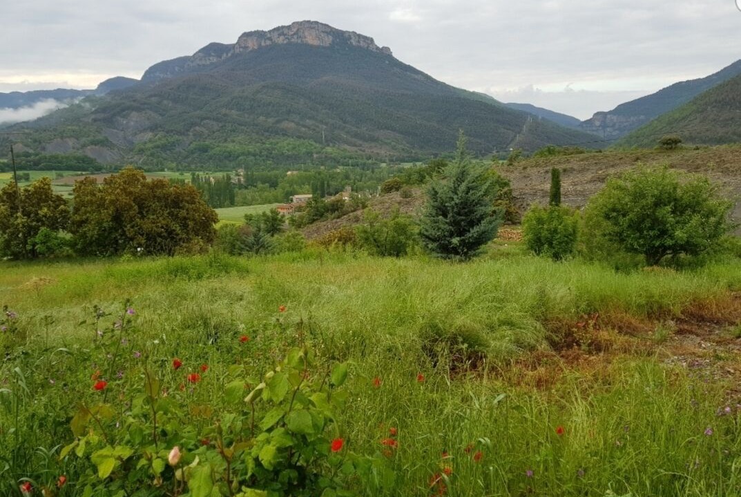 Photo of Outdoor in Las Colladas