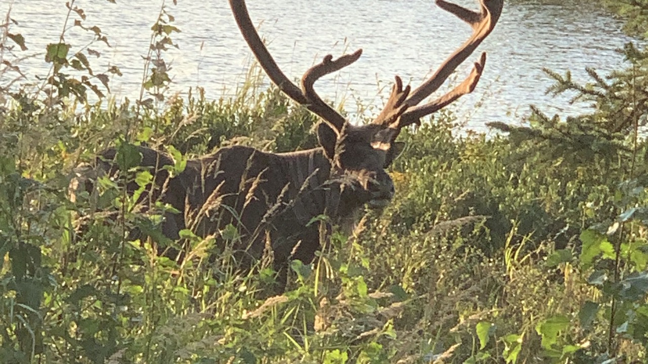 Photo of Outdoor in Ridgeway