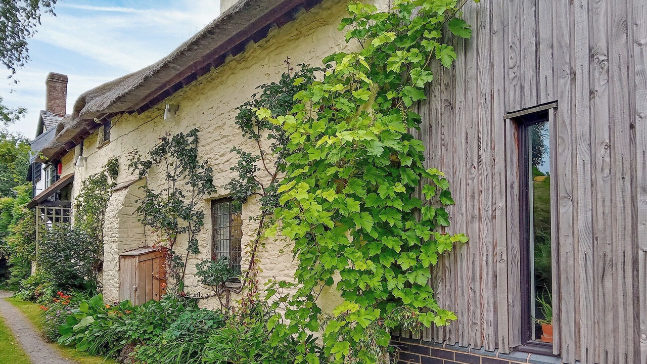 Photo of Outdoor in Adforton