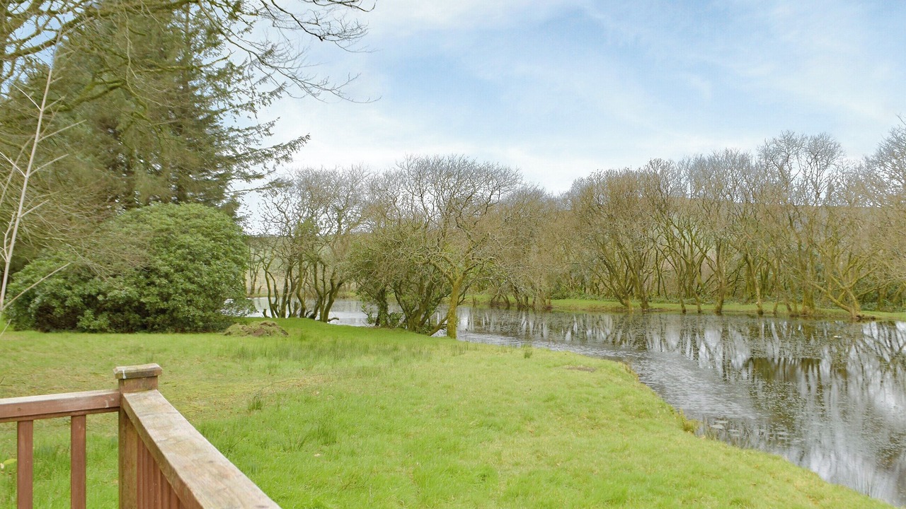 Photo of Others in Rosebush