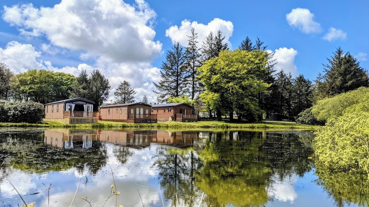 Photo of Others in Rosebush